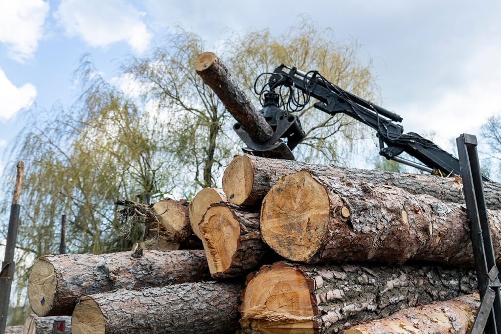 FORESTRY IN MOTION